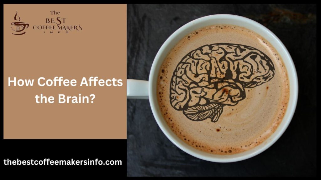 How Coffee Affects the Brain?