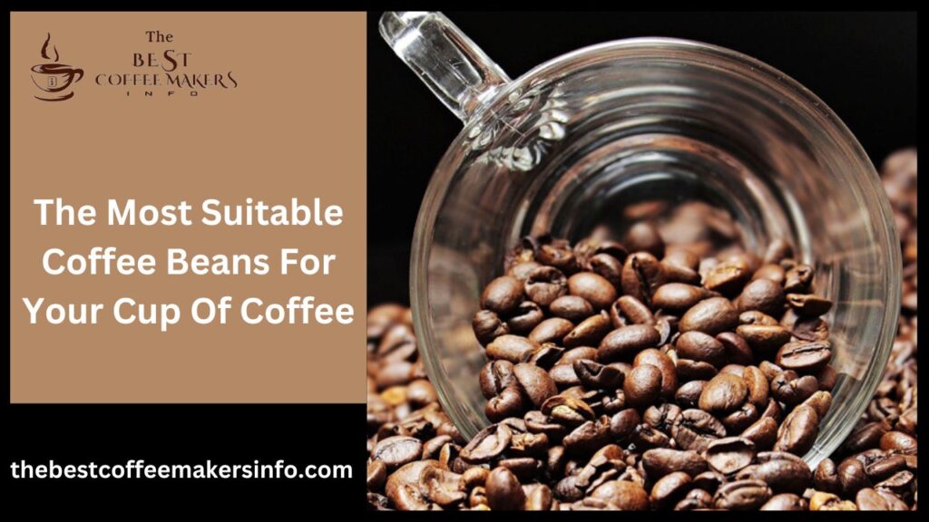 The most suitable coffee beans for your cup of coffee