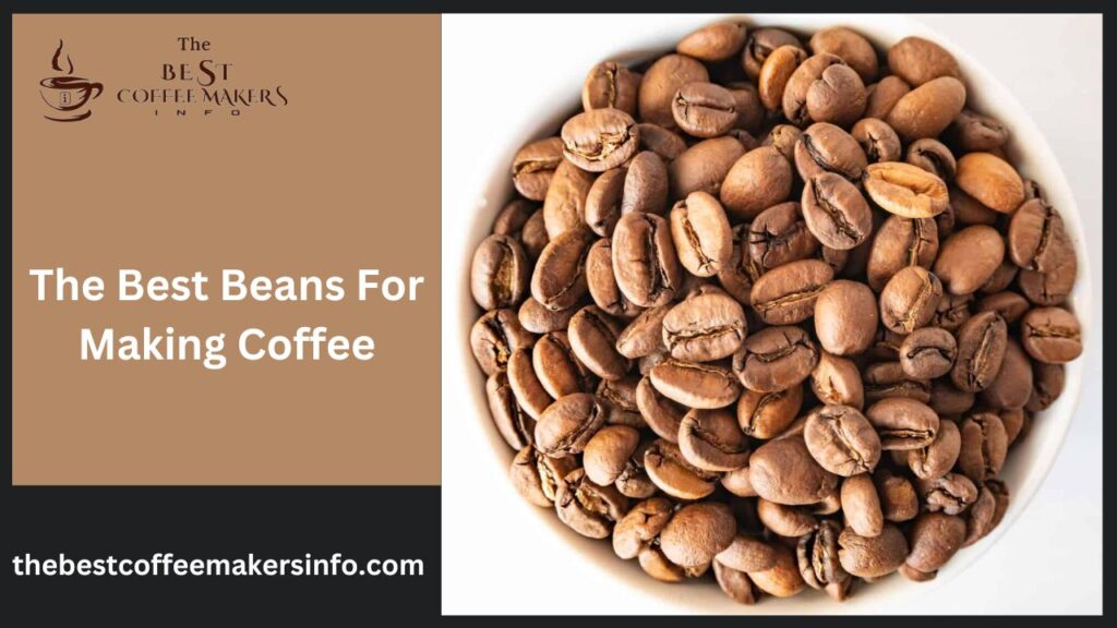 The Best Beans For Making Coffee