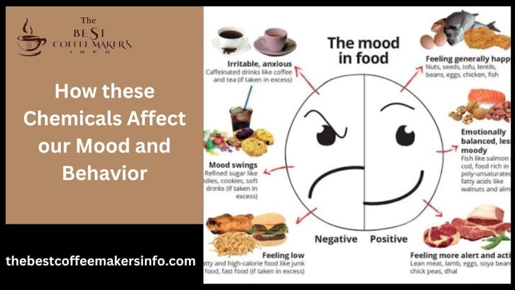 How these Chemicals Affect our Mood and Behavior