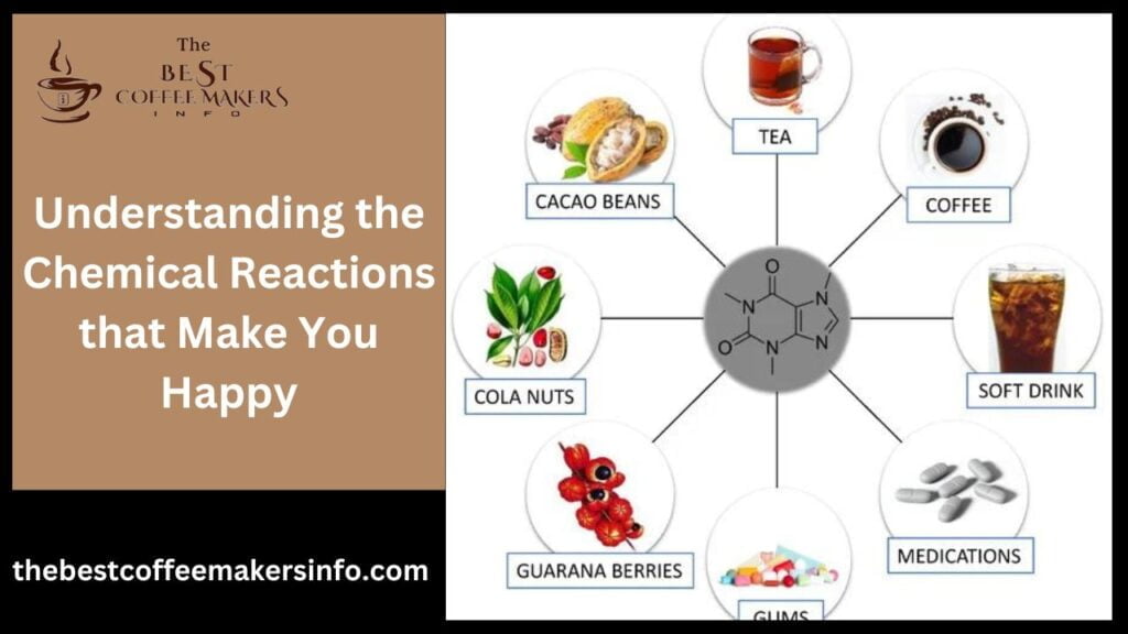 Understanding the Chemical Reactions that Make You Happy