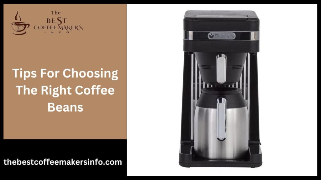 Tips For Choosing The Right Coffee Beans