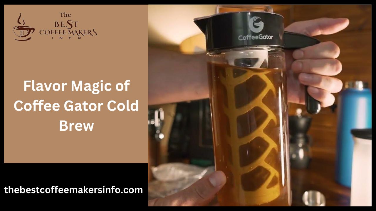 Flavor Magic of Coffee Gator Cold Brew