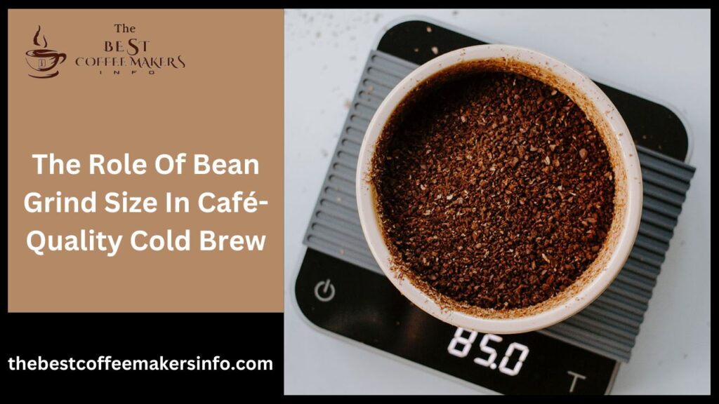 The Role Of Bean Grind Size In Café-Quality Cold Brew