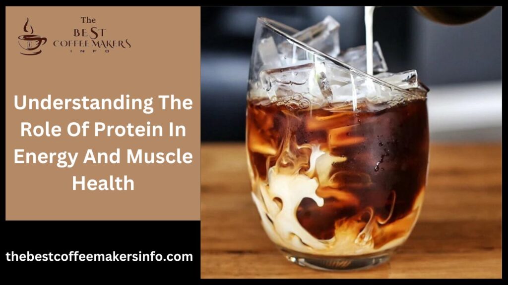 Understanding The Role Of Protein In Energy And Muscle Health